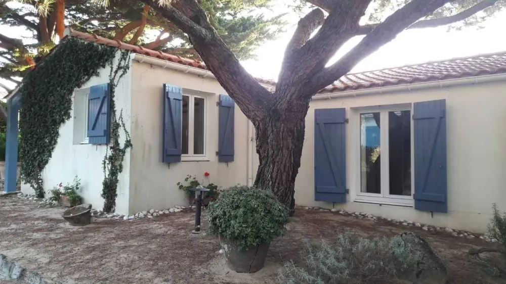 arbre